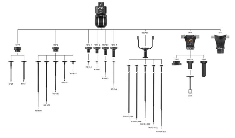 REVO-2 and SFP2 family tree