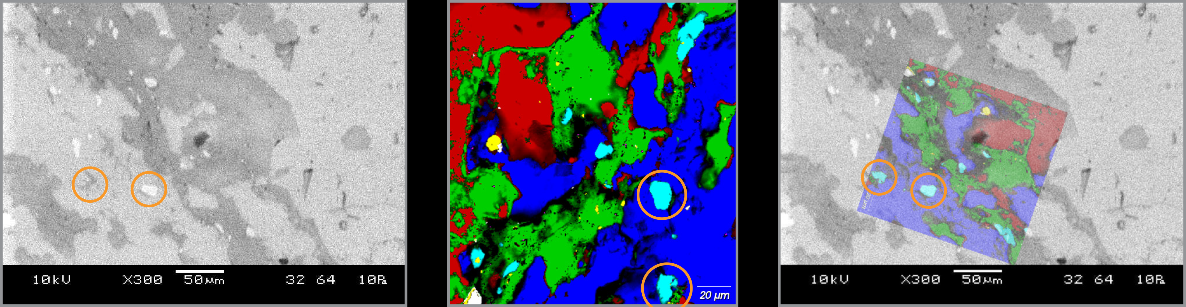 News release: News release: Correlated SEM and Raman images