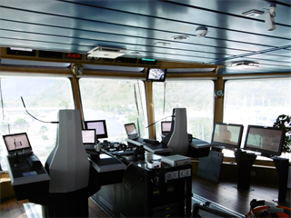 Vessel bridge