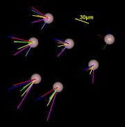 Die stone material long-scale accuracy