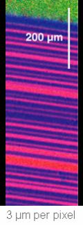 Polymer laminate (PS and PMMA)