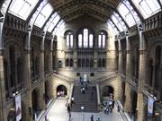 Natural History Museum London by Green Lane