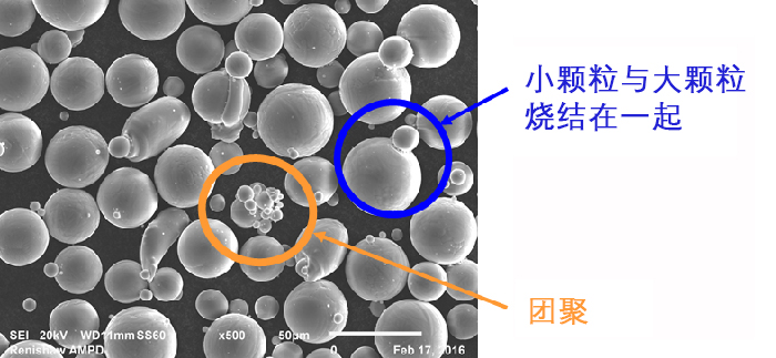 烧结在一起的增材制造粉末