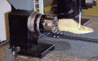 shoe1.jpg (17665 Byte)