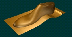 shoe5.jpg (14449 Byte)