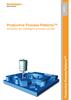 (AP010) Productive Process Patterns™