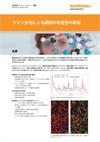 ラマン分光による調剤の安定性の研究
