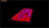 Analysing a complex-shaped tablet