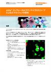 inVia™ コンフォーカルラマンマイクロスコープによるエマルジョンの研究