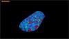 Analysing an analgesic tablet