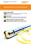 Brochure: Rodded Boretrak® and Cabled Boretrak®