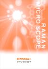 Raman Microscope