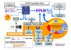 QC10 Traceability Chart - UK and USA