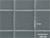 Vistec  nanolithograpy