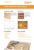 Raman systems for carbon analysis