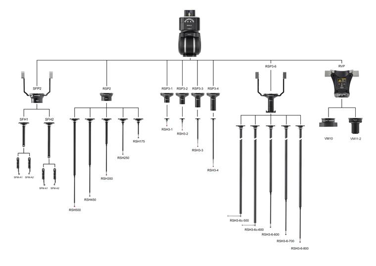 REVO-2 and SFP2 family tree