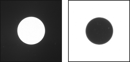 RVP front and back lighting exposure