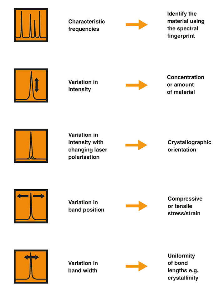 What Raman spectroscopy can tell you