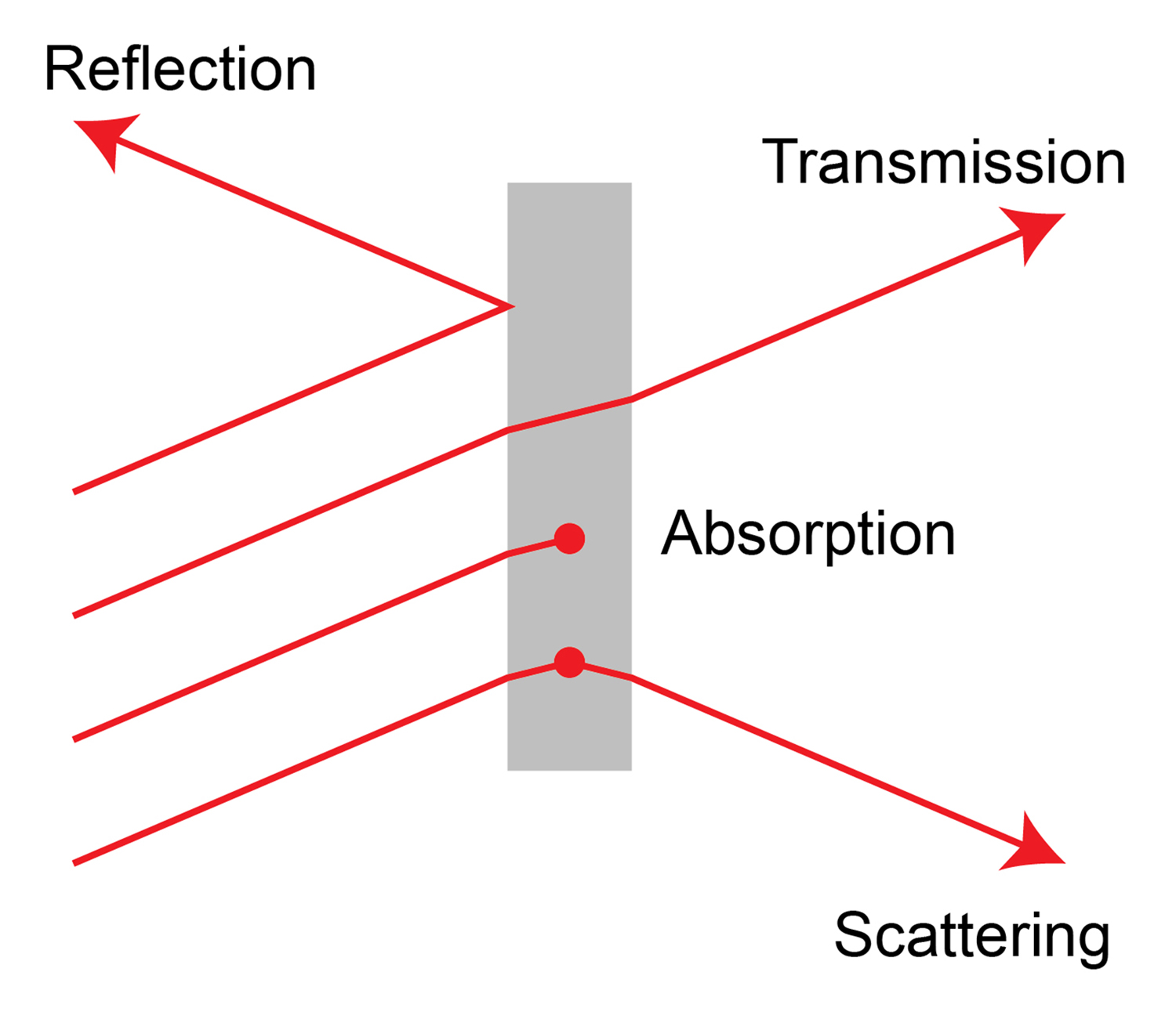 A basic overview of Raman spectroscopy