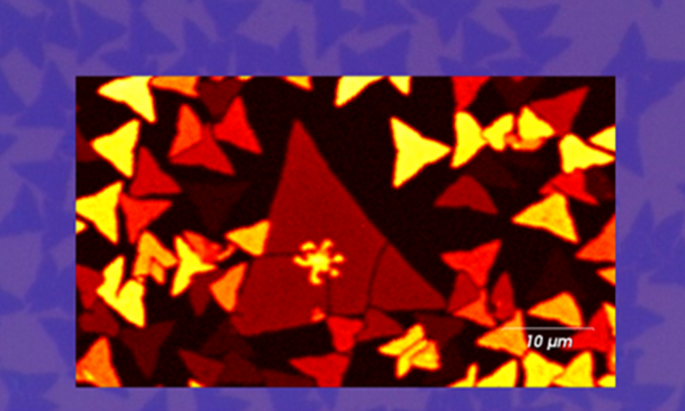 Polarised SHG image of MoS2