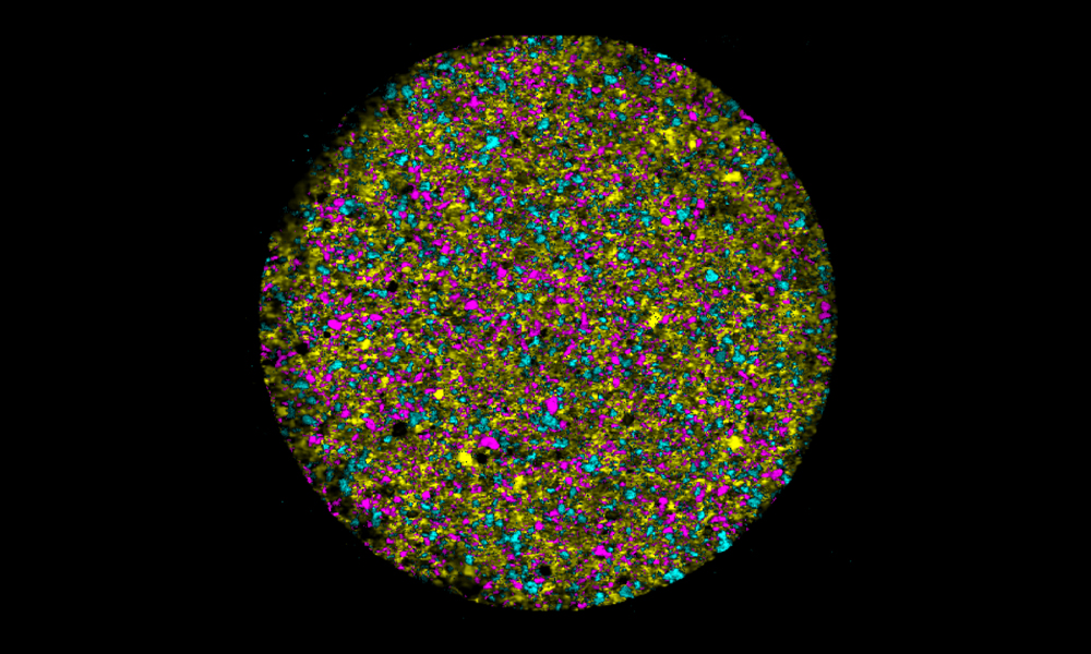 Imagen Raman del RA802 de una tableta