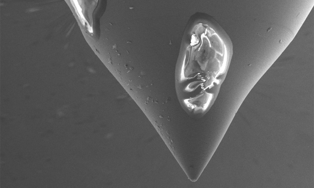 燃料噴射器の汚染物質を示す SEM イメージ