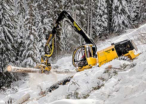 Kombajn zrywkowy 1185 (zdjęcie dzięki uprzejmości firmy Tigercat)