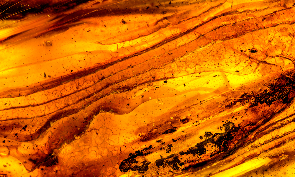 Amber gemmology
