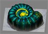 3d imaging of ammonite