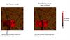 Analysis of CVD graphene grown on copper foils