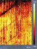 Raman photocurrent mapping module - Photocurrent