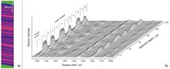 Multilayered polymer laminate structure