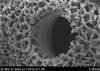 Magnification of porous AM surface