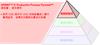 SPRINT™ 的 Productive Process Pyramid™ 資訊層： 棱形應用