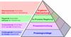 Die Produktionsprozess-Pyramide (Productive Process Pyramid™)