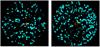 Image for Pharmaceutical Raman spectroscopy application note determiing formulation