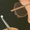 Dental research and materials testing