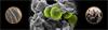 Staphylococcus banner
