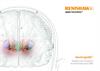 Catálogo: sistema de colocación de electrodos para DBS neuroguide