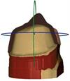 incise section tool