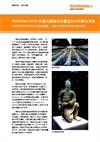 Renishaw inVia 拉曼光譜應用於鑒定和分析秦兵馬俑