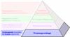 Die Produktionsprozess-Pyramide (Productive Process Pyramid™) - Prozessgrundlage