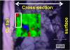 Detecting low concentrations of binder.