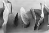 Titanium craniomaxillofacial implants produced using a Renishaw metal additive manufacturing system