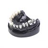 Cobalt chrome dental implant