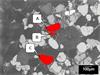 LV-SEM image of sandstone