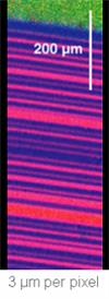 Polymer laminate (PS and PMMA)