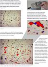 Renishaw Raman spectroscopy Image for Application Note Pharmaceutical Powders Chart 2