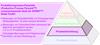 Produktionsprozess-Pyramide (Productive Process Pyramid™) vorausschauende Stufe für SPRINT™: Blade Toolkit