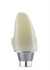 Abutment and Link